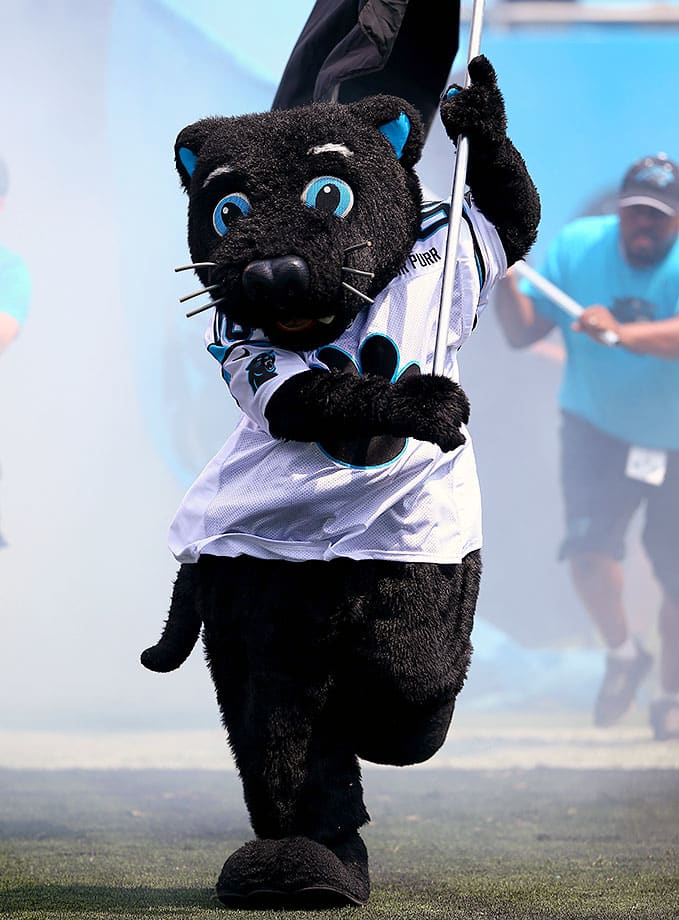 Carolina-Panthers-mascot-Sir-Purr.jpg